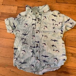 Shark button down shirt 5T